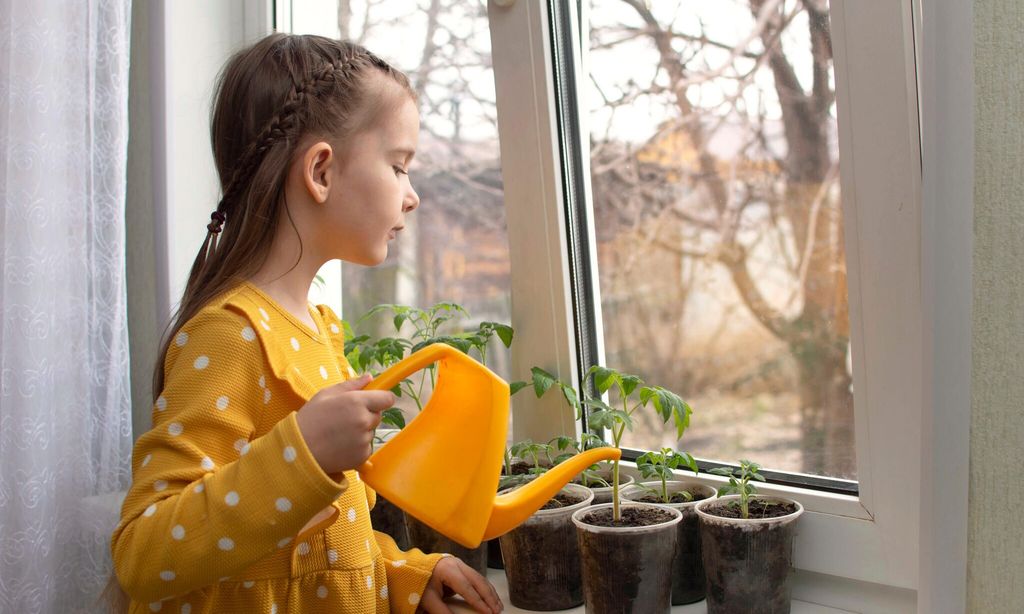 ni a regando plantas en la ventana de su casa