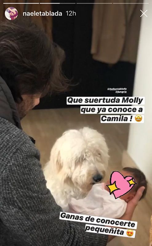 El tierno momento en el que la hija de Elena Tablada y Javier Ungría conoce a la mascota de la familia