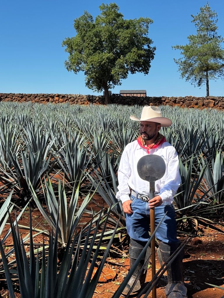 Rogelio es el jimador de Tequila Patrón y realiza este trabajo desde hace décadas. Actualmente comparte su conocimiento con su sobrino, la futura generación.