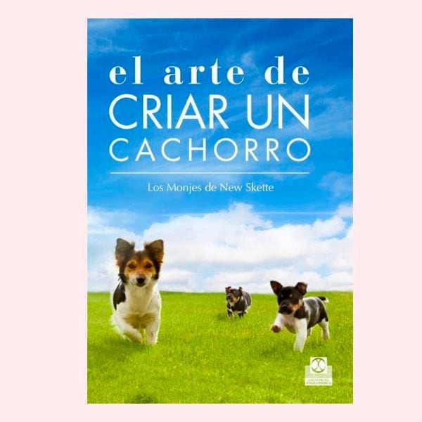 arte cuidar cachorro a