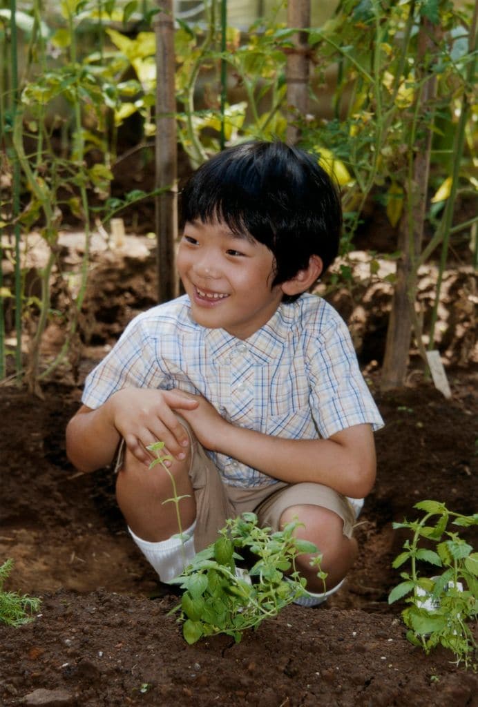 Hisahito de Japón de niño