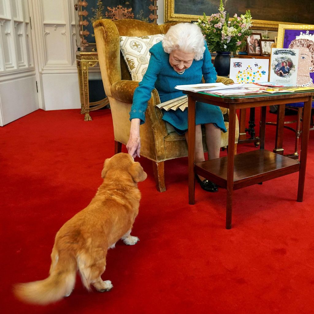 reina isabel y su perro sandy