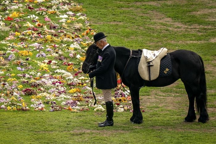 Emma, la poni de Isabel II