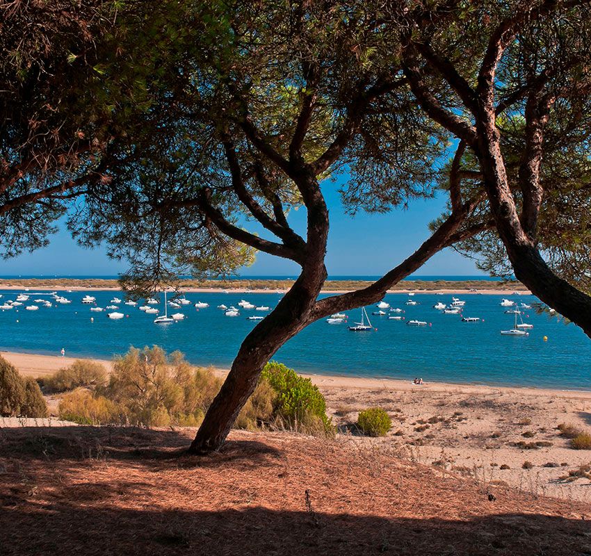 playa cartaya