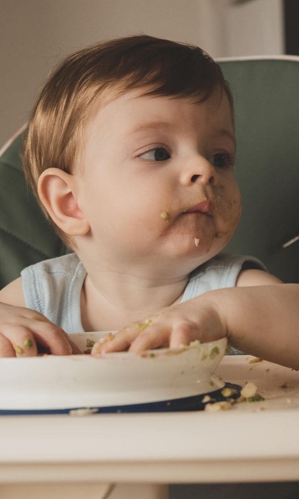 Niño sentado en la trona con las manos en su plato de comida