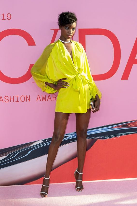 cfdapremios019a