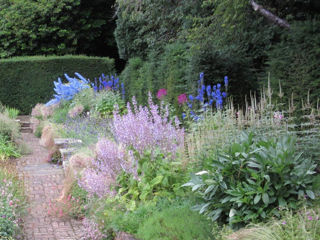 Jardín con plantas variadas, entre ellas la hierba gatera