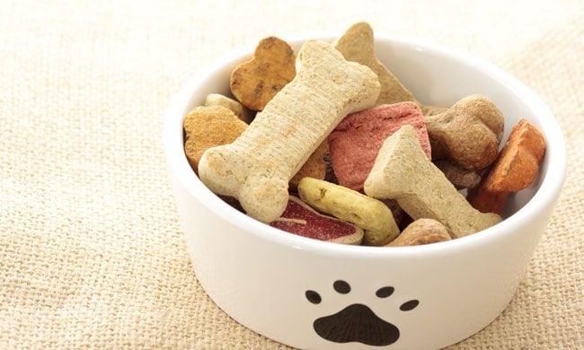 Galletas para perros