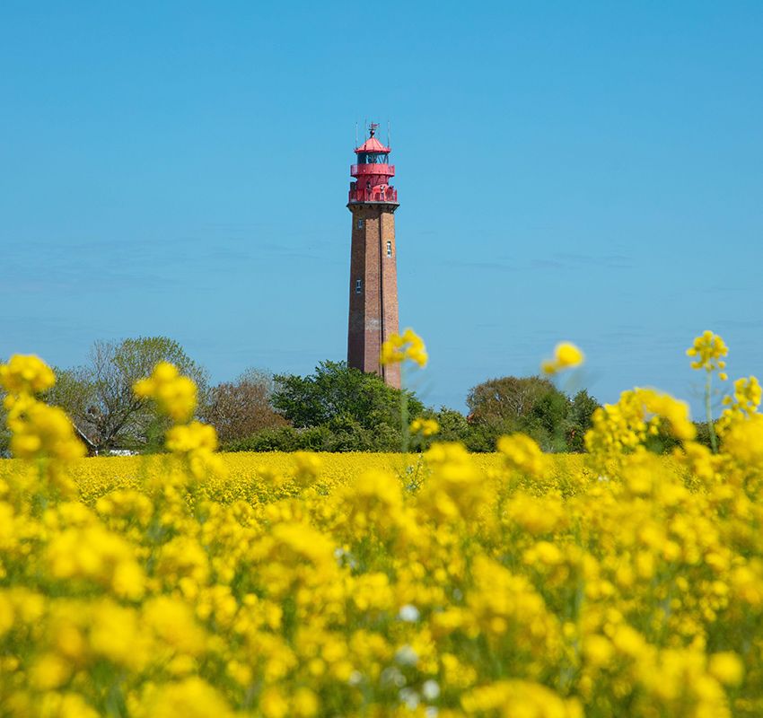 Isla de Fehmarn, Schleswig-Holstein, Alemania