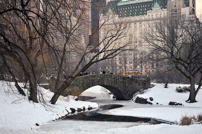 Nueva-York-Central-Park-Manhattan_a