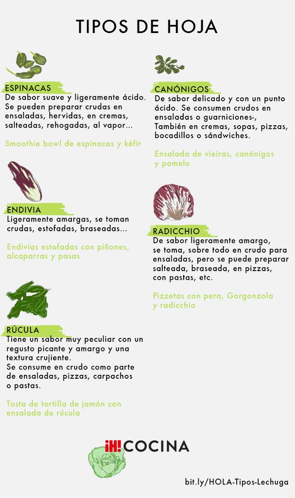 TIPOS DE HOJA