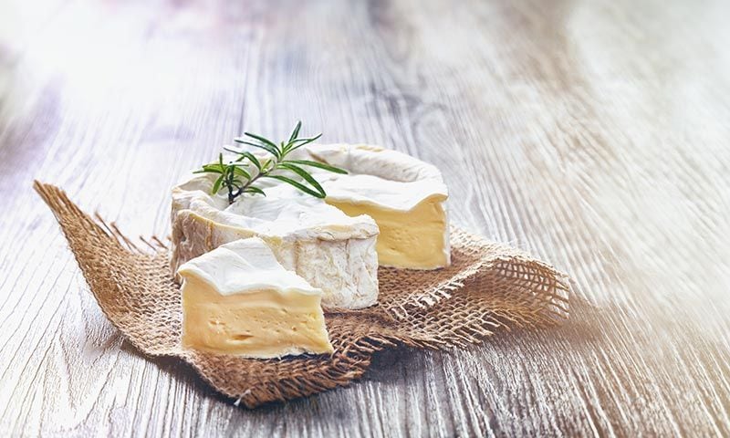 camembert