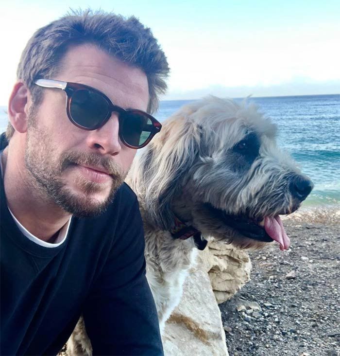 Liam Hemsworth y Gabriella Brooks, ¿se acabó el amor?