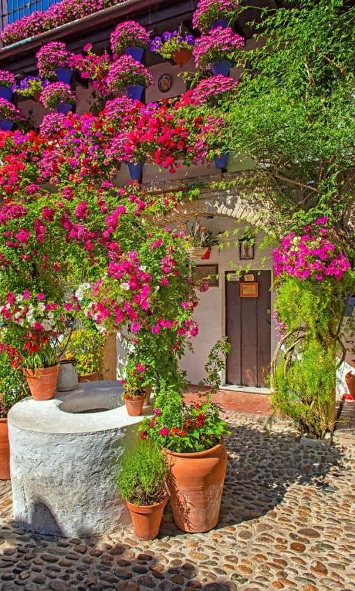 La fiesta de los patios cordobeses celebran este año 100 años de belleza