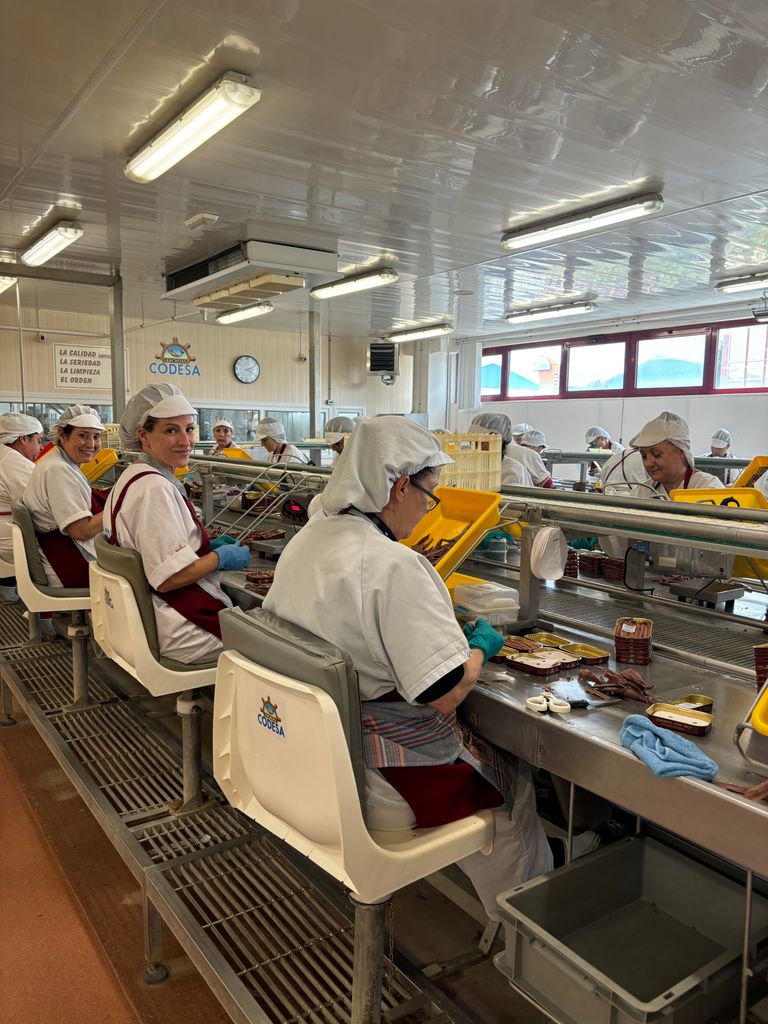 Mujeres trabajando en la fábrica de anchoas Codesa