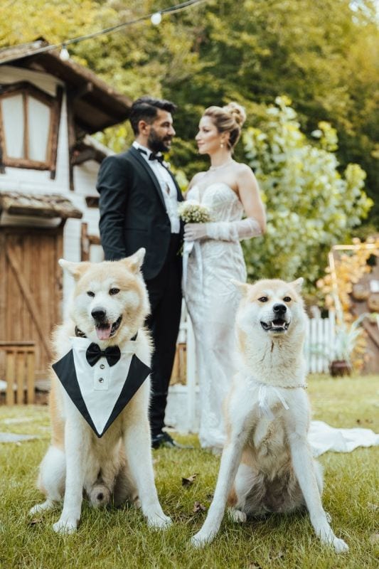 La romántica boda de Rüzgar Aksoy y Yasemin Sancaklı desde la lente de Hakan Akman