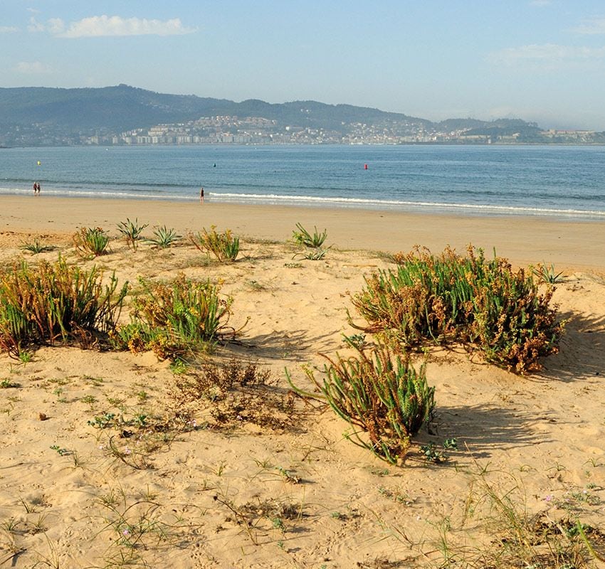 Playa América, Pontevedra