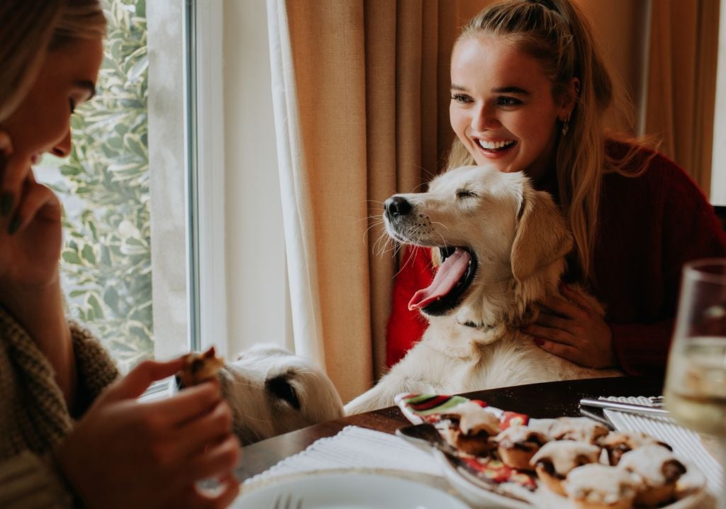 dos mujeres con dos perros en la mesa de Navidad