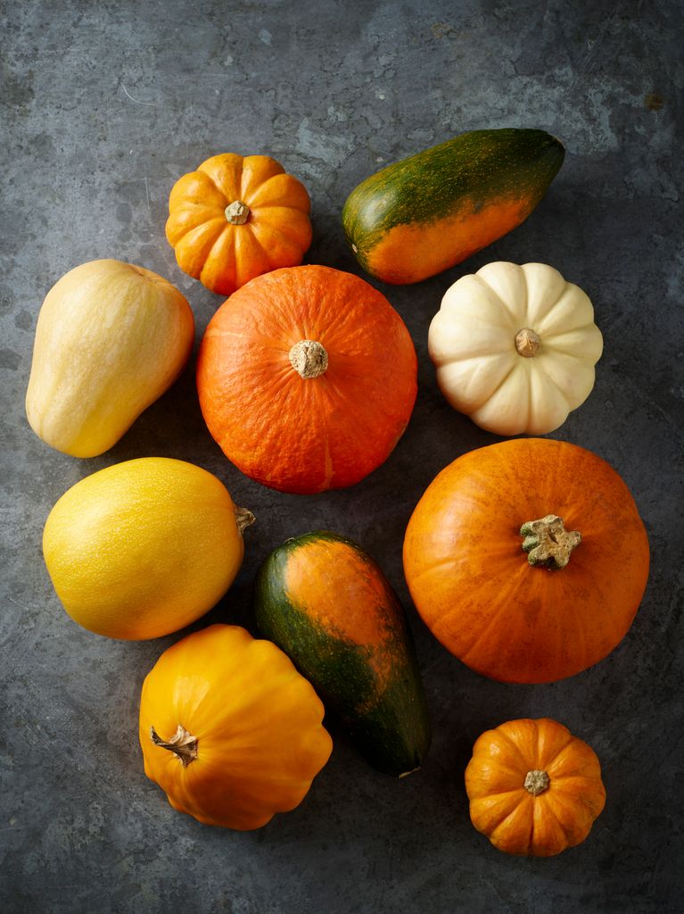 Diferentes variedades de calabazas con distintos colores, formas y tamaños.