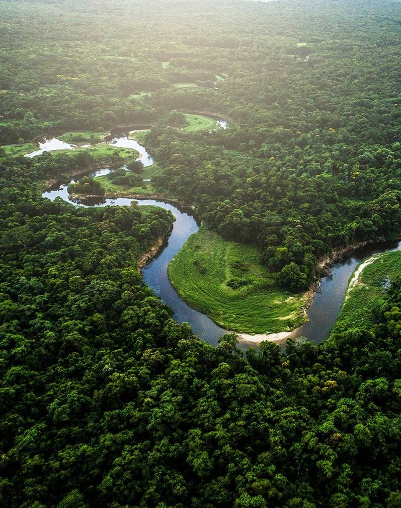 selva amazonica 9a