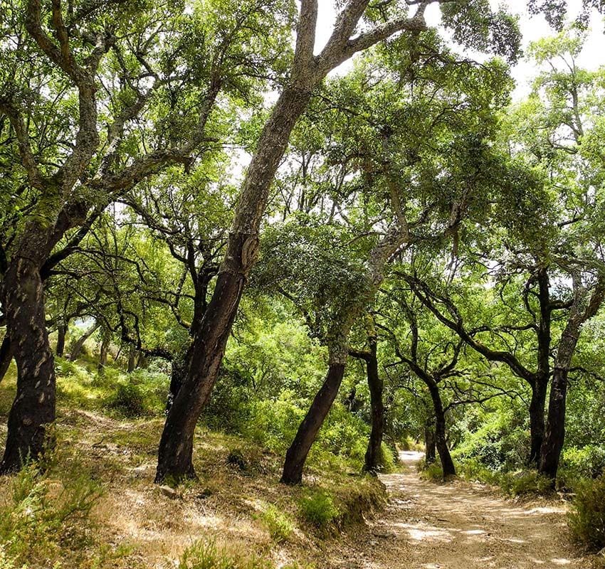 Sierra de Grazalema, Cádiz