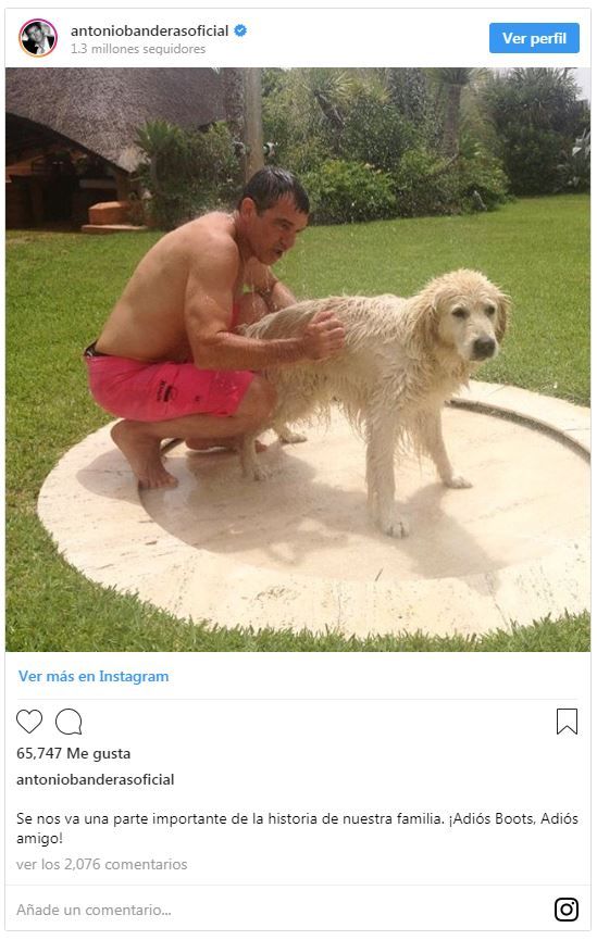 Antonio Banderas y Nicole Kimpel 