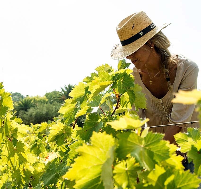 bodegas robles 5 rocio marquez