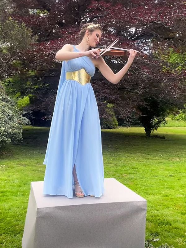 Violinista 