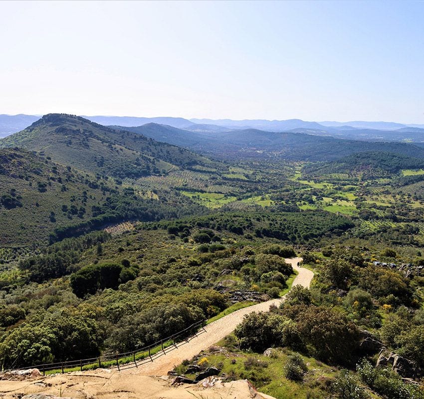 Camino-Castillo-de-Herrera