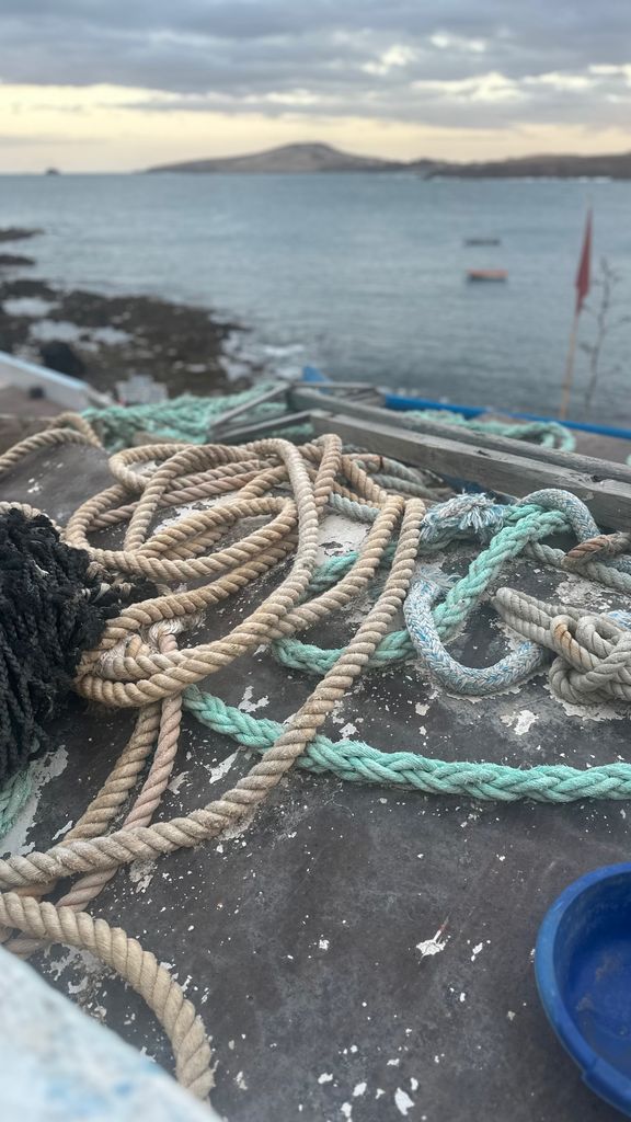 Sara Carbonero en Tufia, un rincón encantador de la Costa de Gran Canaria