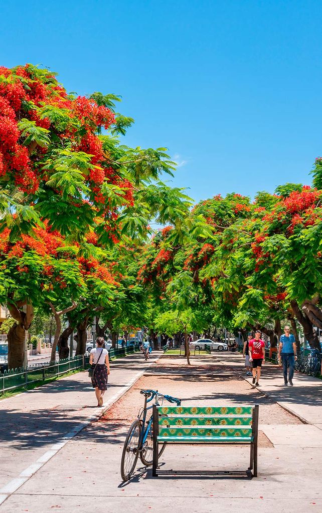 Paseo Rotchild, Tel aviv 