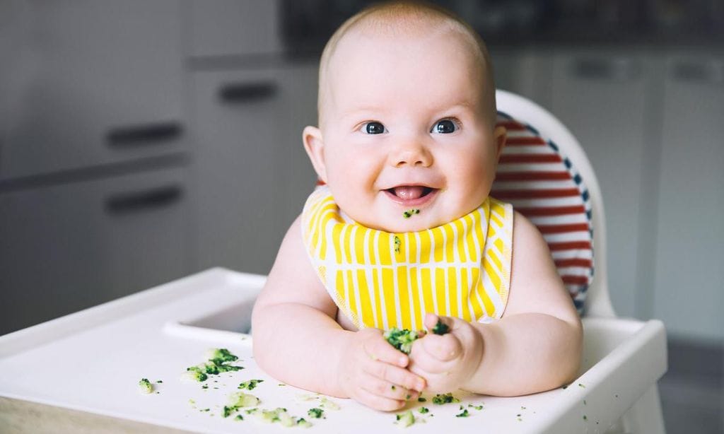 beb comiendo br coli