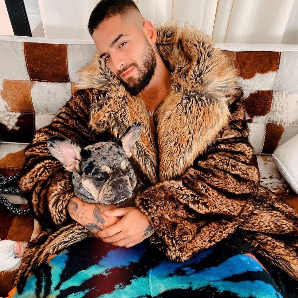 maluma perro 