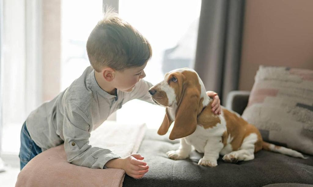 ni o con perro en casa