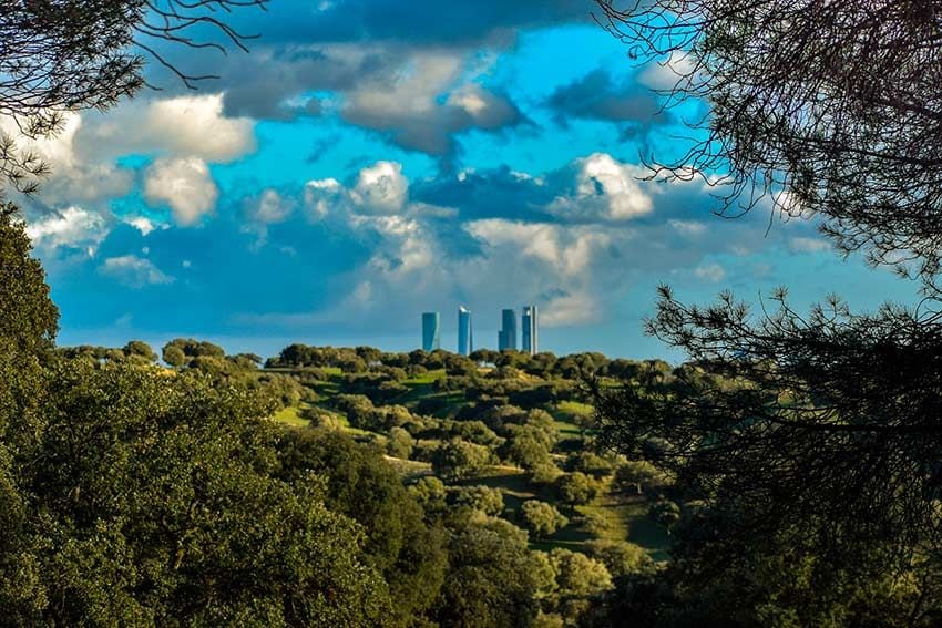 Vista de las Cuatro Torres desde el monte de El Pardo de Madrid