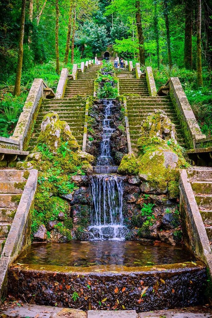 Fuente y escaleras en el bosque de Buçaco, Portugal