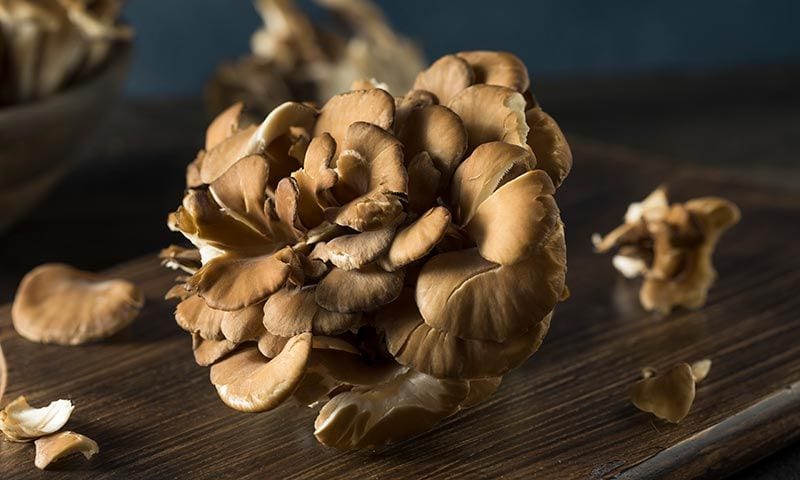 maitake