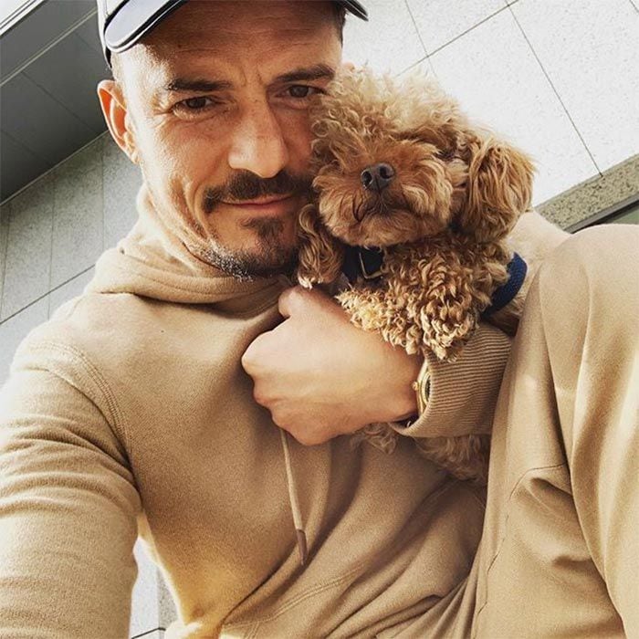 Orlando Bloom y su perro desaparecido