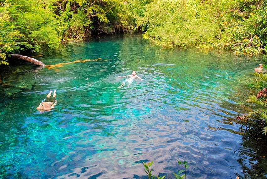 Reserva Ecológica de Ojos Indígenas, República Dominicana