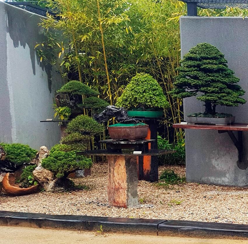 Museo del Bonsai, Alcobendas