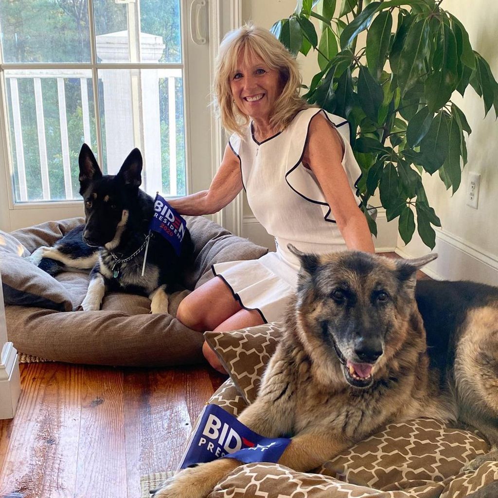 Jill Biden junto a sus perros