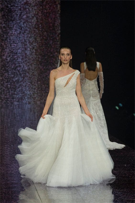 pronovias 66