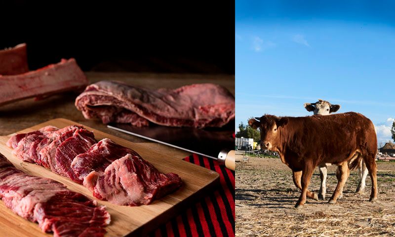 carne ecologica directa a casa venta online espana