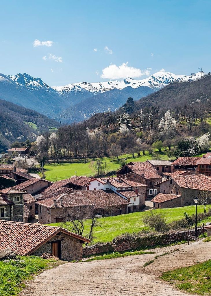 mogrovejo cantabria