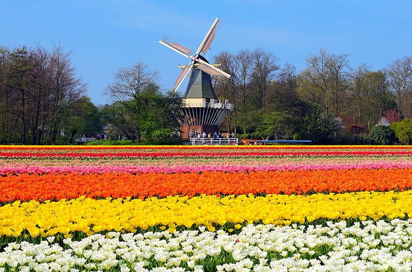 Holanda Keukenhof_jardines