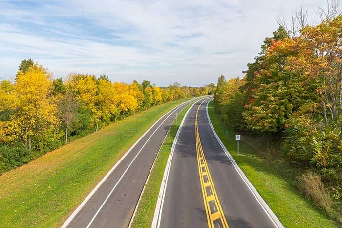 autopista-bosque