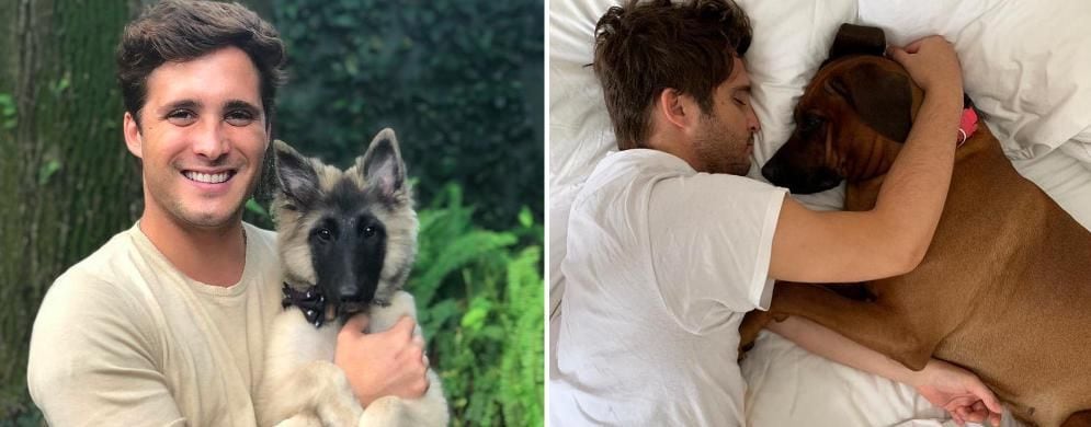 diego boneta amor perros