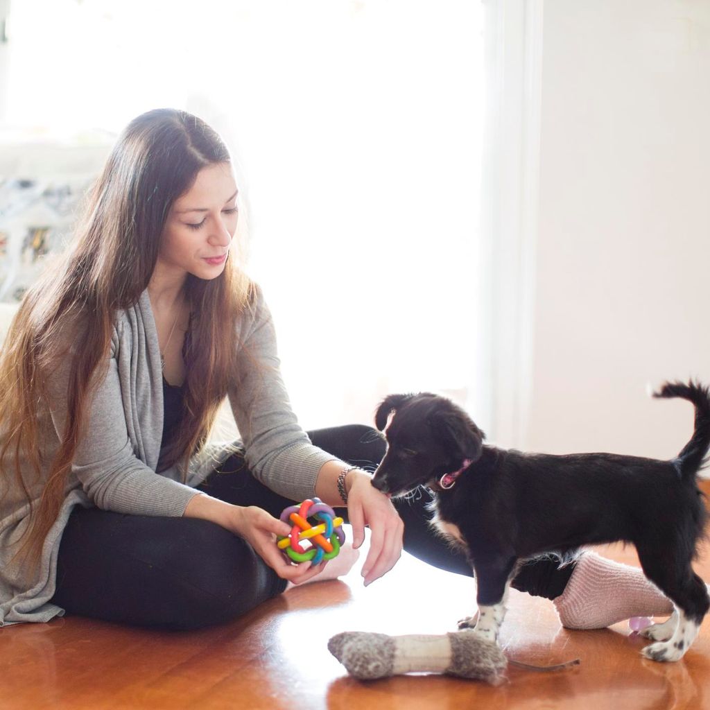 Lo que debes saber antes de adoptar una mascota