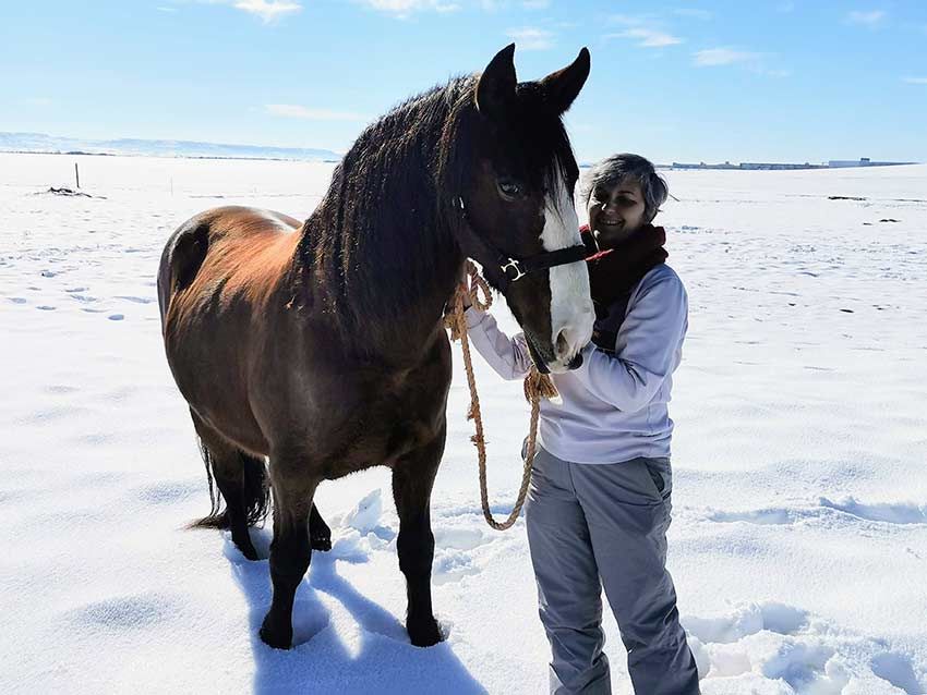 04 como tener un caballo como mascota