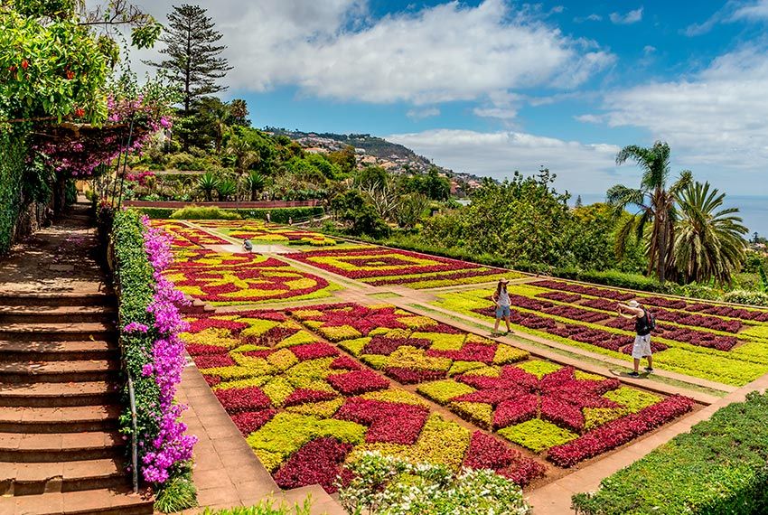 madeira jardines botanico